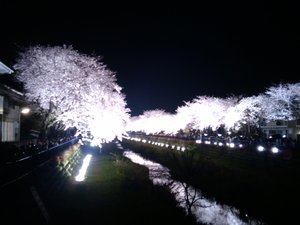 2010-04-06 20.36.03.jpg